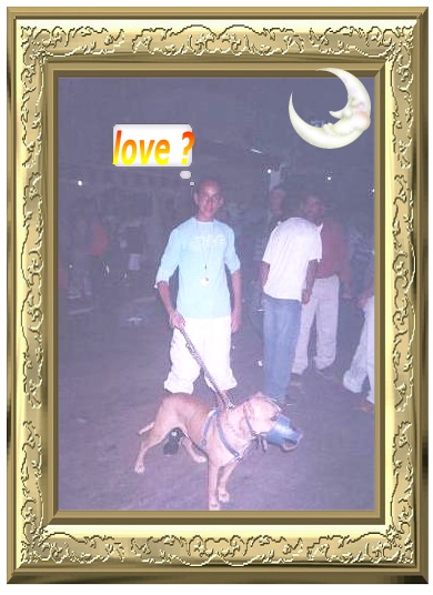 anis