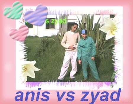 anis vs zyad